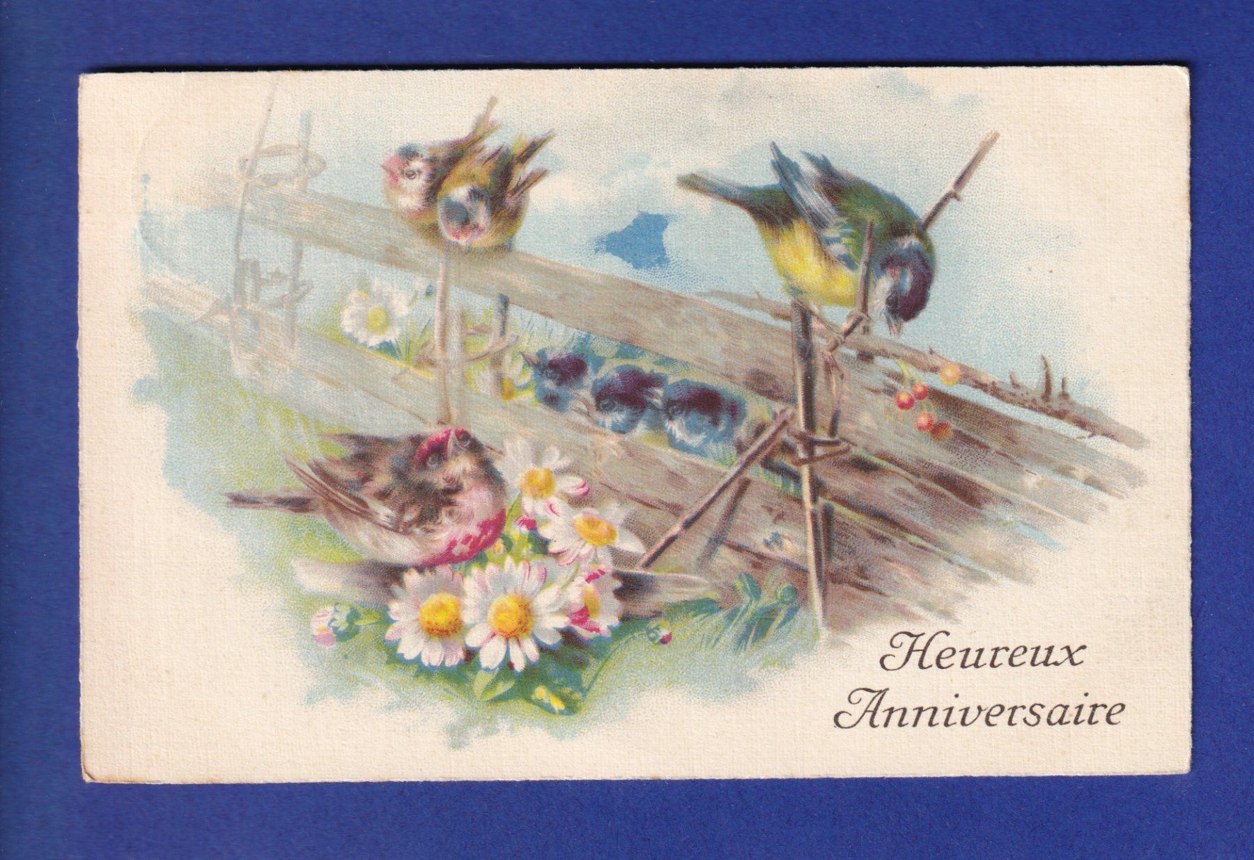 Ansichtskarten: OISEAU - Mésanges – Gebraucht aus Pully von nicecards-shop