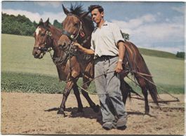 LANDWIRTSCHAFT 1950 Kanton Bern Eggen mit Pferd