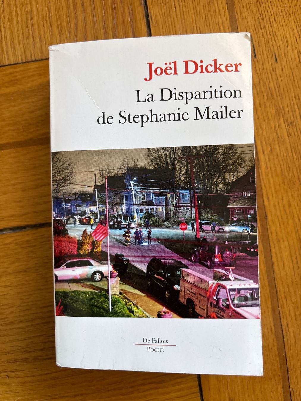 Libri: La Disparition de Stephanie Mailer – Usato da Genève venduto da Livsonman