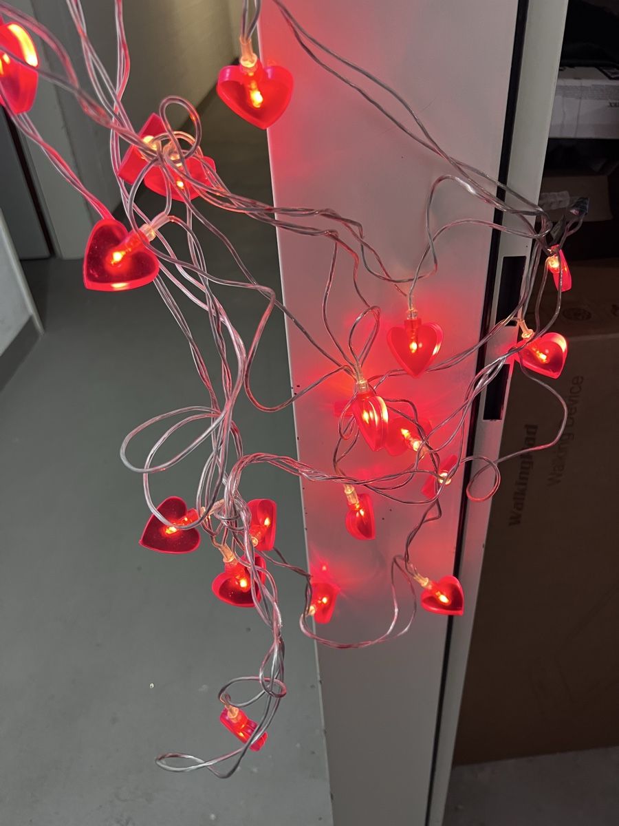 Ghirlande e barre luminose: Lichterkette mit roten Herzen – Nuovo (secondo la descrizione) da Solothurn venduto da sl_27 1