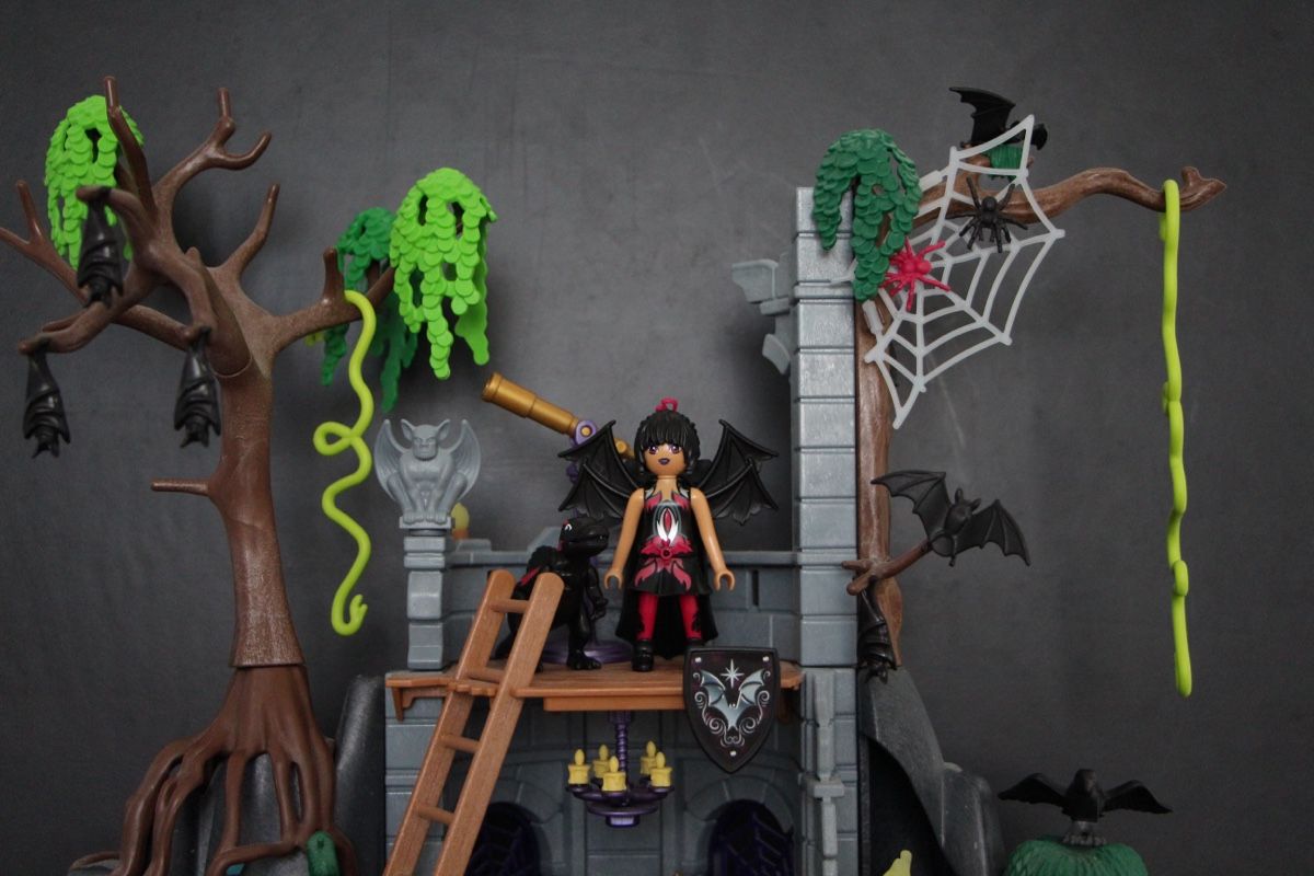 Playmobil Giocattoli: Ayuma Playmobil – Usato da Oberrüti venduto da NiSi83 1