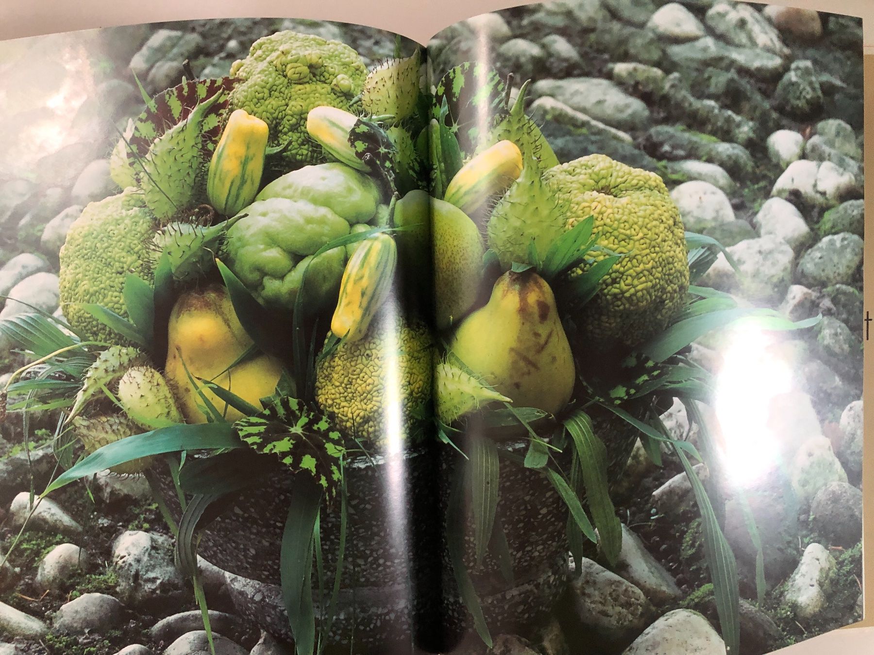 Bücher: Blumenzauber/Fabrikneu – Gebraucht aus Chur von Renibe 9