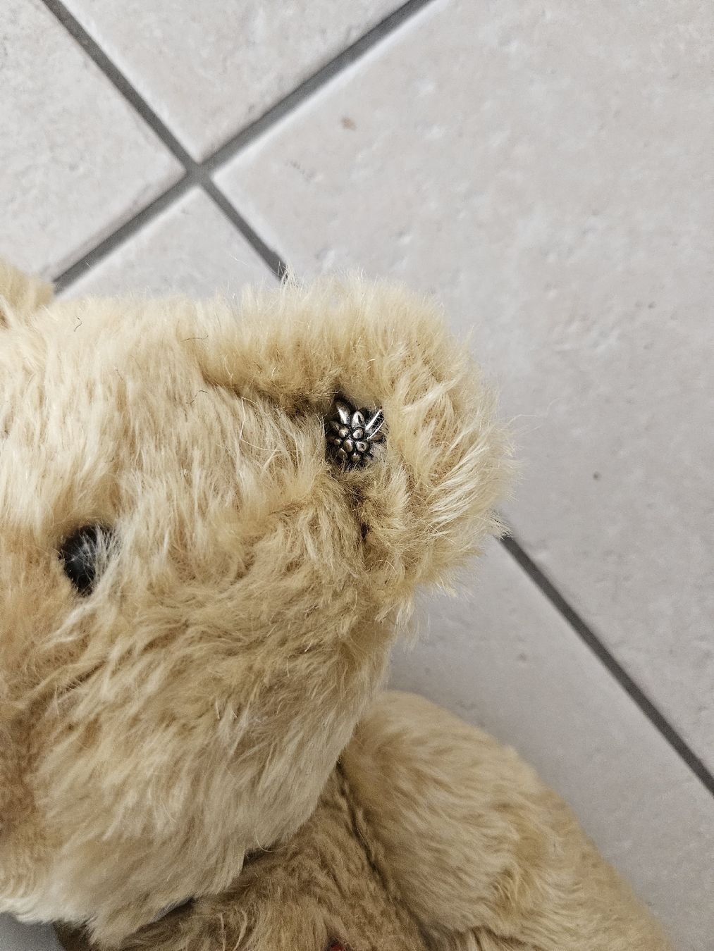 Giocattoli: alter Bär – Usato da Haslen GL venduto da Sandra40 3