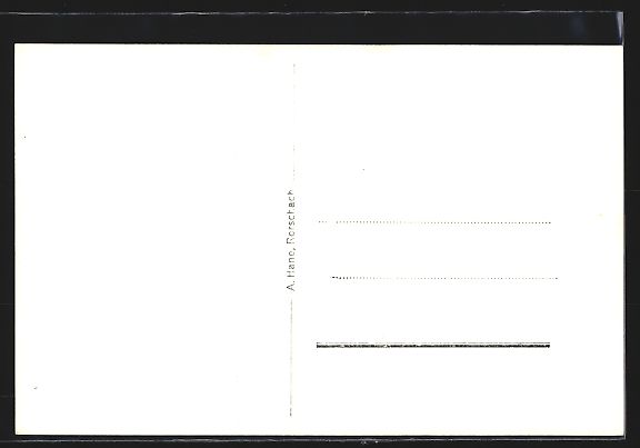 Cartoline postali: Rieden, Ortsansicht aus der Ferne bei de – Usato da Berlin venduto da bartko-reher 1