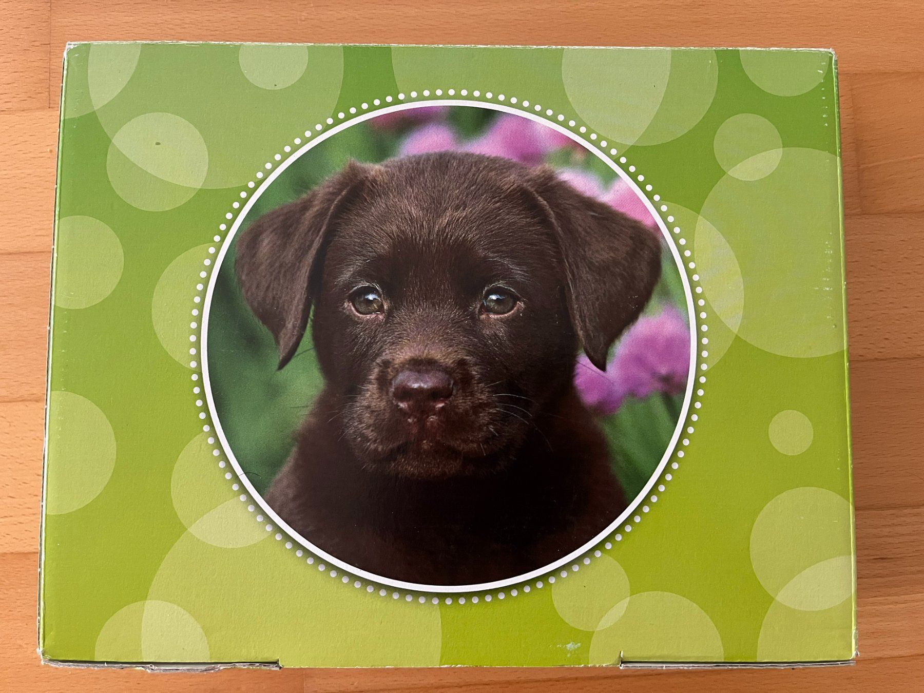Puzzles: 4 Puzzles - Tierkinder im Freien – Gebraucht aus Muttenz von Juvenile33 9