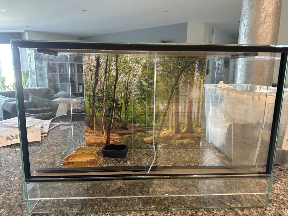 TERRARIUM 30X40X30 CM NEU mit Schiebetür Falltür Glas Spinnen mit