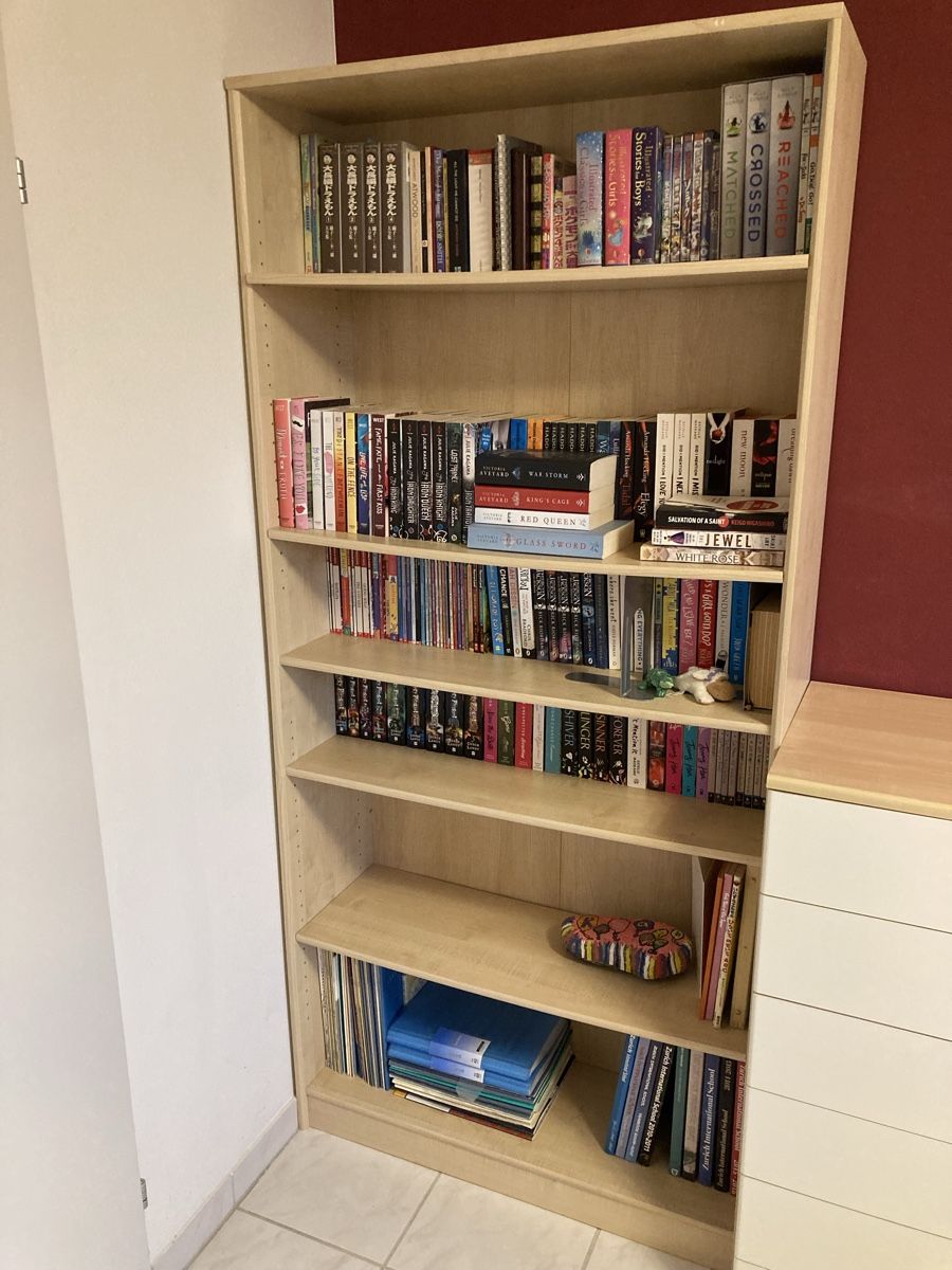 Scaffali: Bücherregal  – Usato da Horgen venduto da Andradina