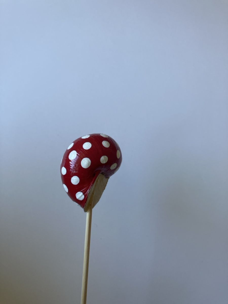 Toutes les décorations: Schneckenhaus rot-weiss – Neuf avec emballage d'origine à Reitnau par Juda65 1
