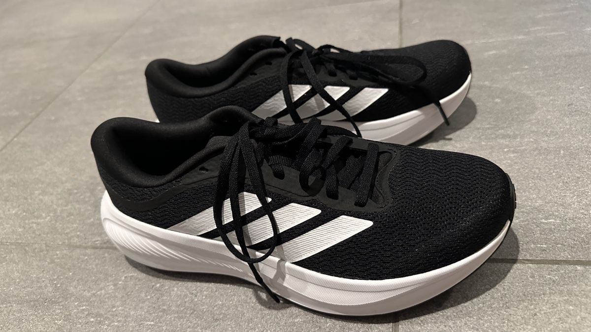 Adidas Scarpe da uomo: Adidas Sneakers Gr. 39 1/3 neu – Nuovo (secondo la descrizione) da Pfungen venduto da nik_9wv9