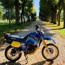 Profile image of starter78