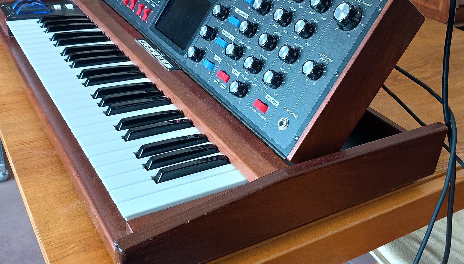 Moog Strumenti musicali: Moog Minimoog Voyager Performer Edition – Usato da Sierre venduto da bolla_sapone 2