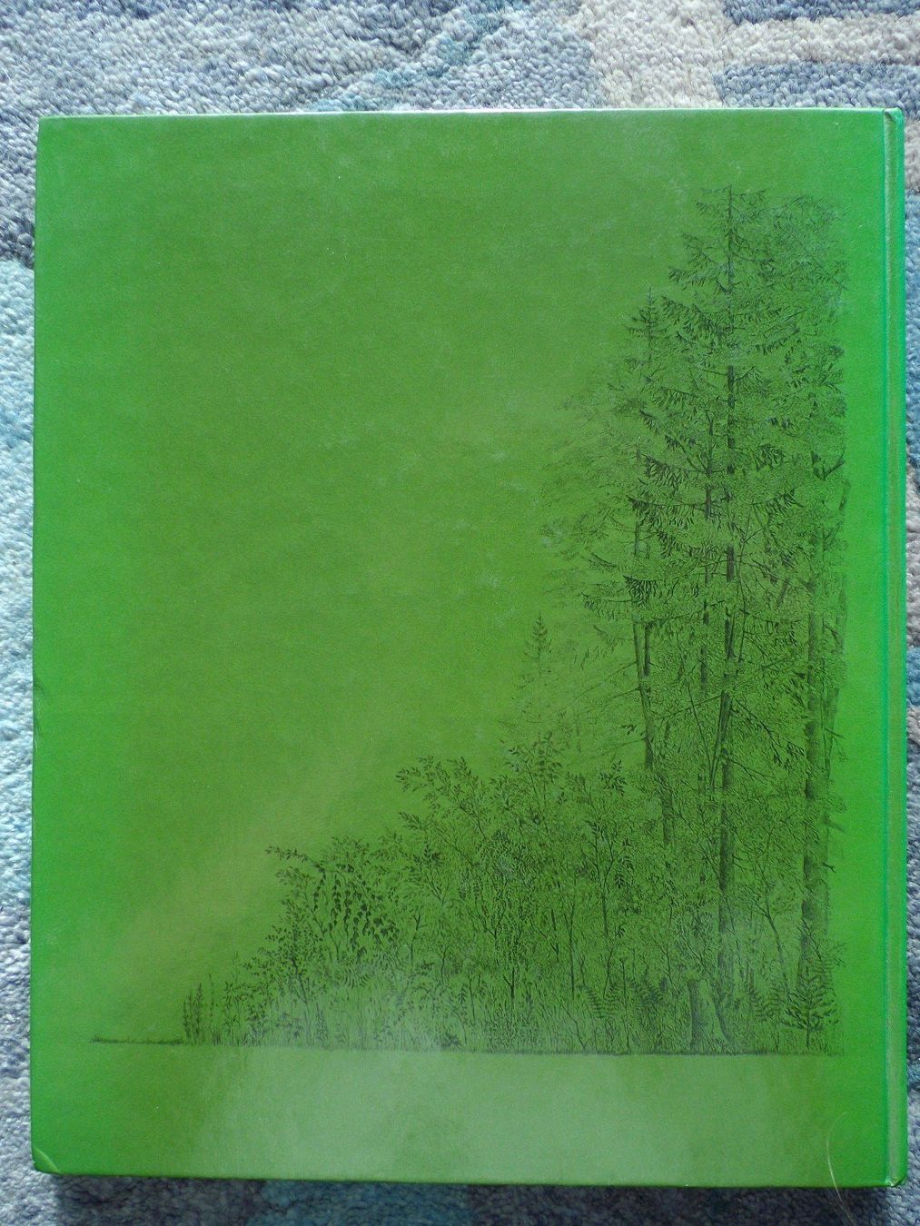 Libri: Wald - Das Silva Familienbuch – Usato da Uster venduto da urs_75by 1