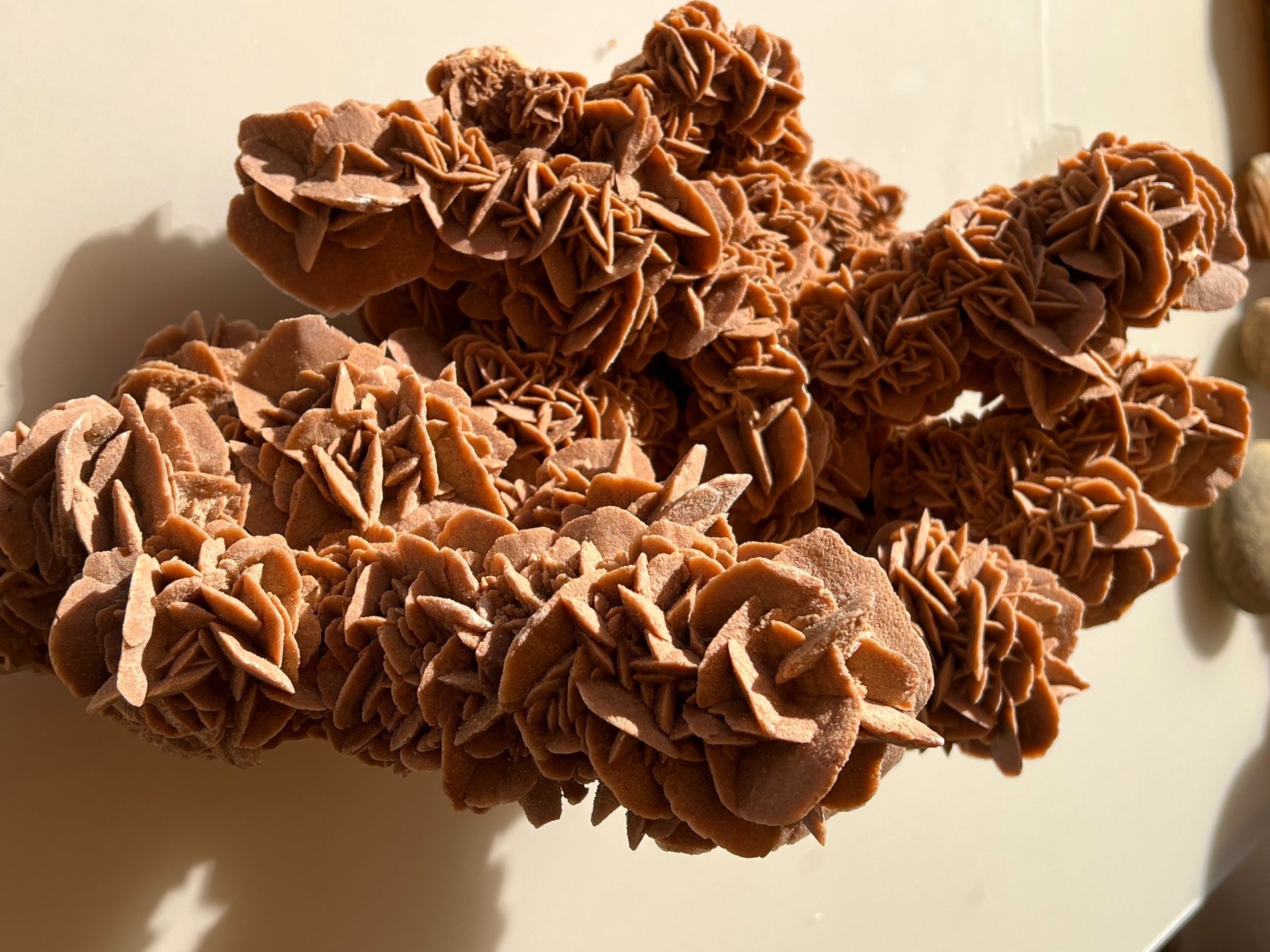 Mineralien & Heilsteine: Sandrose – Neu und originalverpackt aus Beinwil am See von jan_v7tf 3