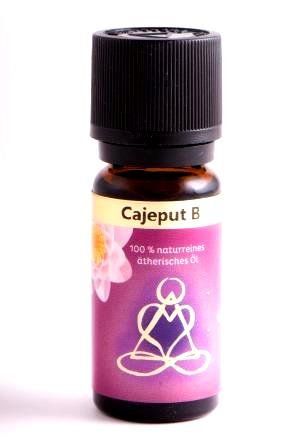 Fauteuils de soin: Cajeput bio 10 ml - ätherisches Öl – Neuf avec emballage d'origine à Mauren par Yeelen