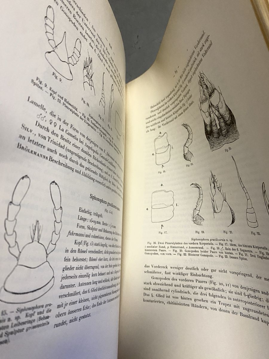Libri: Explorer Voyage Scientifique Dr Mayor Sces naturelles Expé – Usato da Cointrin venduto da vrossi 5