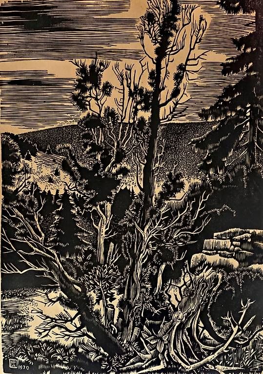 Incisioni: Gravure – Usato da Vex venduto da jea_2qxc