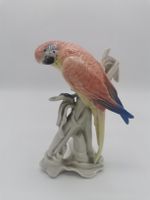 Perroquet branché en porcelaine Allemande , Karl Ens  1930
