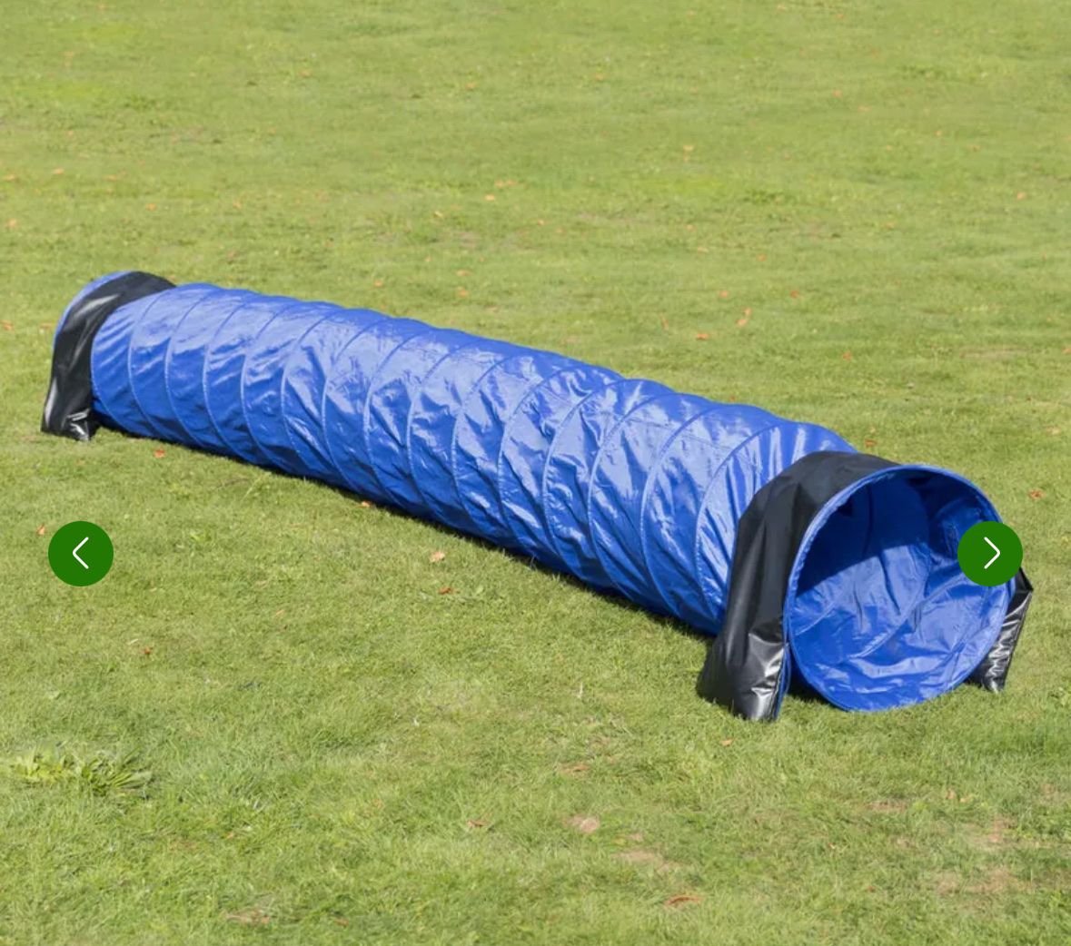 Spiele: Hunde Agility Set – Neu (gemäss Beschreibung) aus Baar von the_9vbc 3