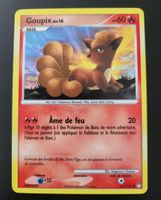Goupix Trésors mysterieux FR