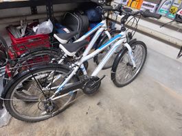 2x Leopard Velos Fahrrad 24 Zoll