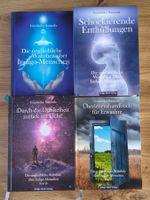 Geistheiler Sananda – Indigo-Menschen Band I-IV