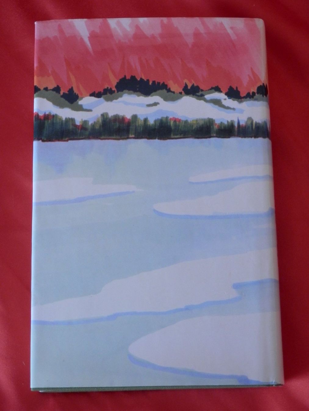 Libri: Der Winter der ein Sommer war von Sandra Paretti – Usato da Weiach venduto da weiach81 1