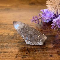 ✲ Spirit Quarz schwarzer Amethyst ✲15g / 39mm Kaktus Quarz