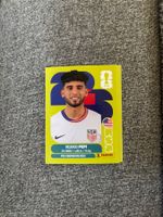 Panini Sticker USA 18, WM 2026