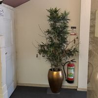 Deko Vase mit künstlicher Pflanze