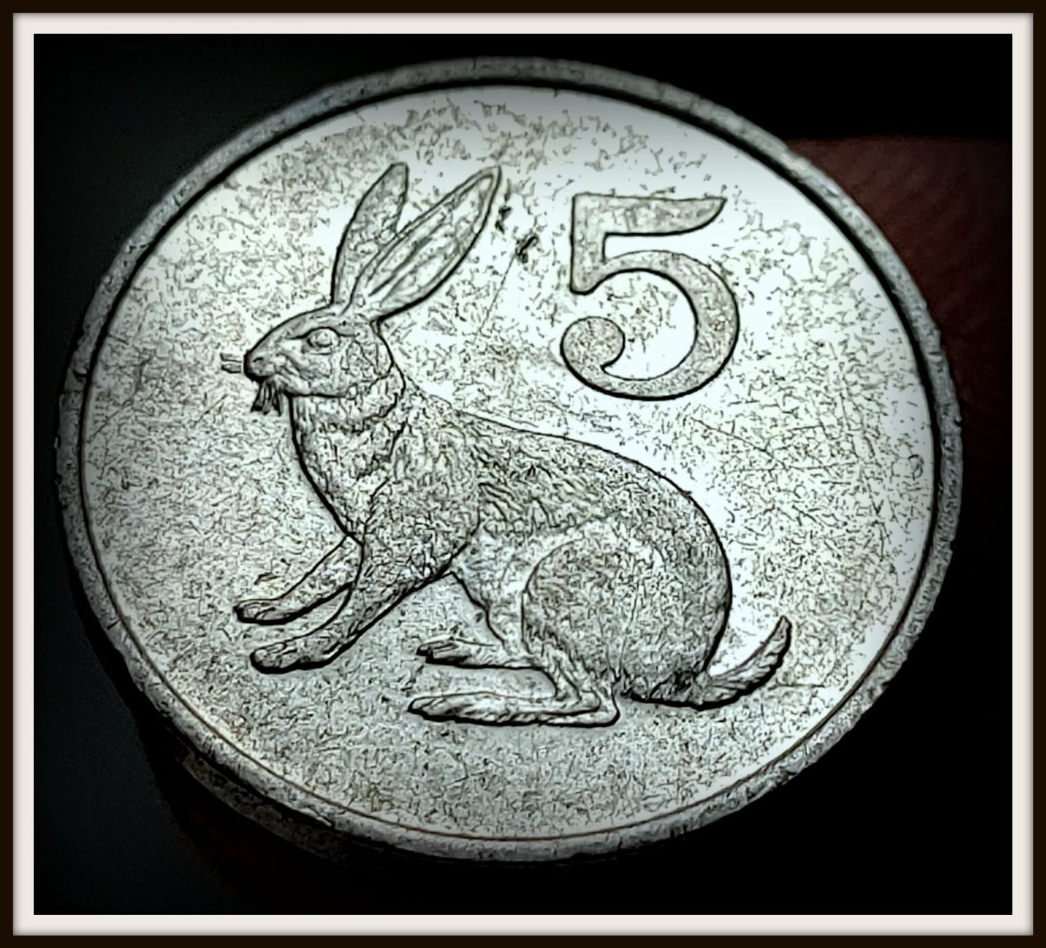 Alle Münzen: SIMBABWE 5 CENTS 1991 – Gebraucht aus winterthur von CoinPassion