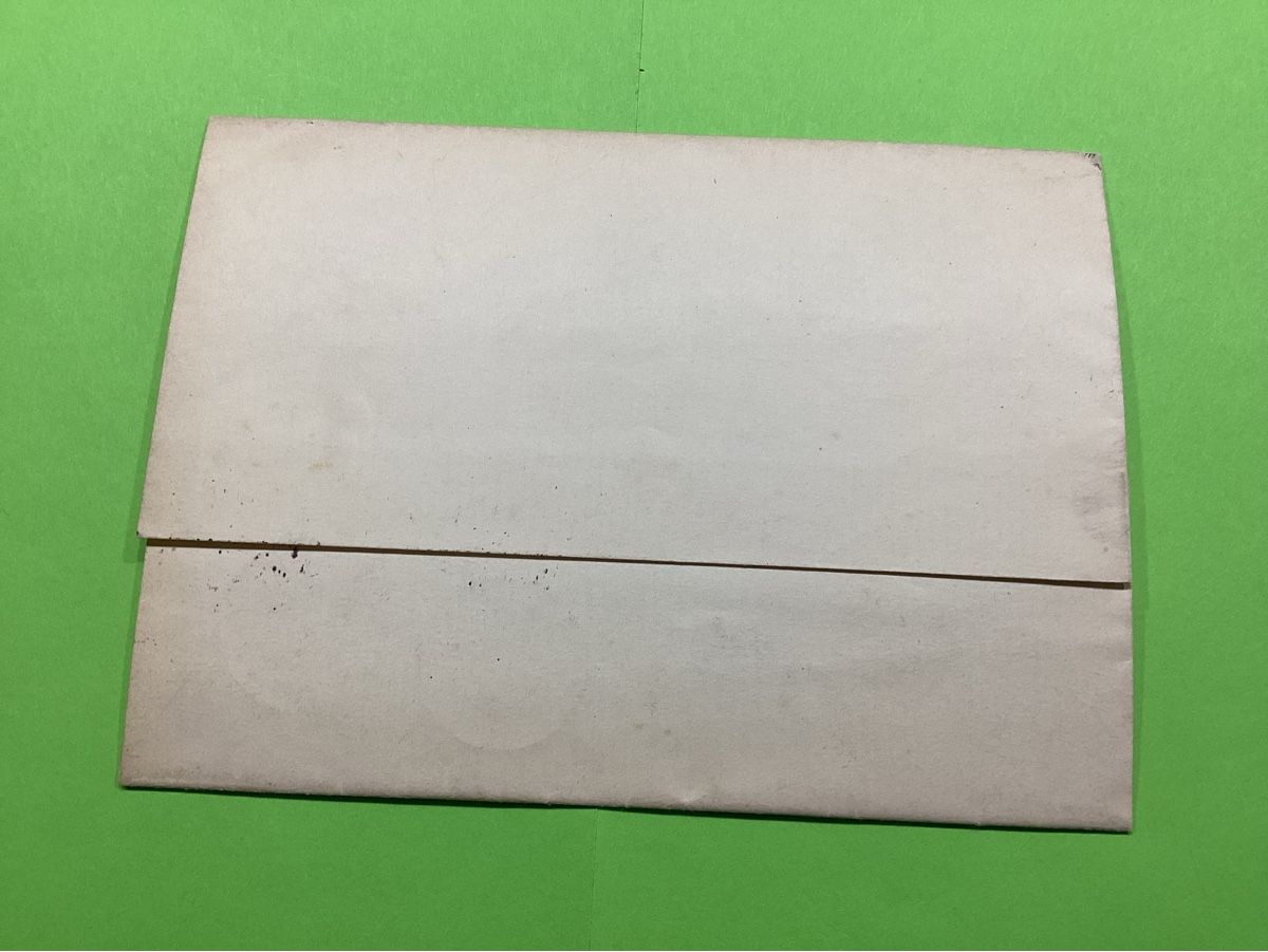 Tutti i francobolli: Faltbrief von 1884 – Usato da Thun venduto da soernst 1
