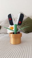 ​Piranha-Pflanze Halter: 2 Joy-Cons + 10 Switch Spiele