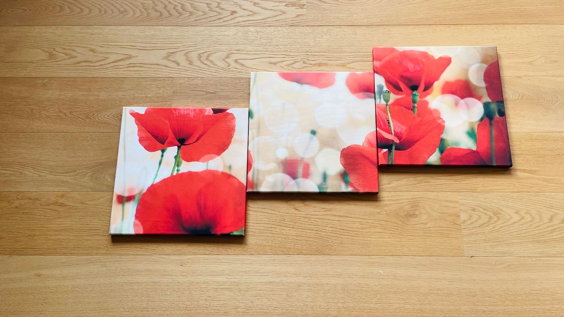 Poster & Bilder: Mohnblumen Wandbild 3er Set – Gebraucht aus Neuhausen von rut_c5dk 1