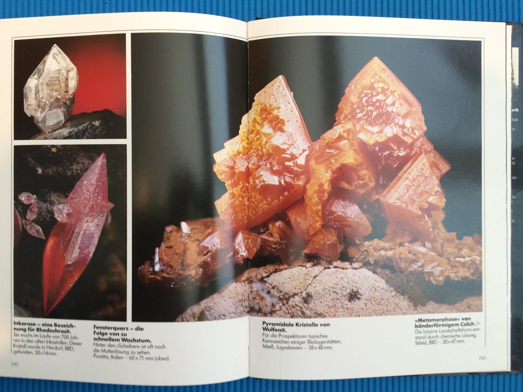 Libri: Zauber der Mineralien – Usato da Wattwil venduto da Baschi77 4