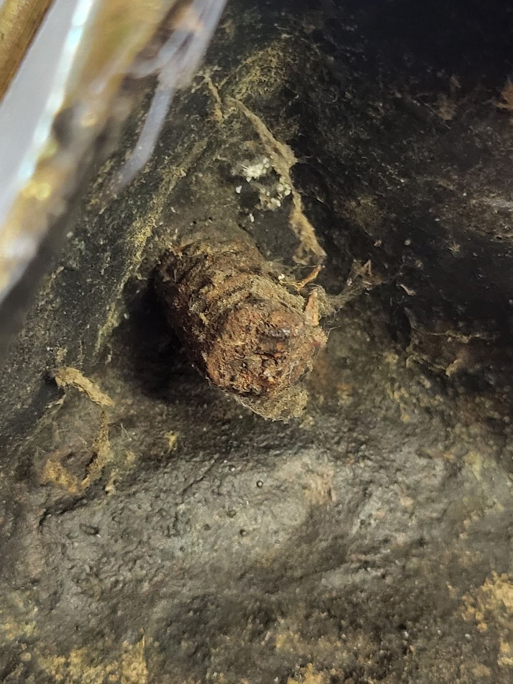 Portacandele: Kerzenleuchter ca 17 Jhr. Bronze – Usato da Degersheim venduto da Sonnenbiene55 4