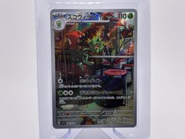 Violet ex - Halupenjo  (sv1V 81) - JP