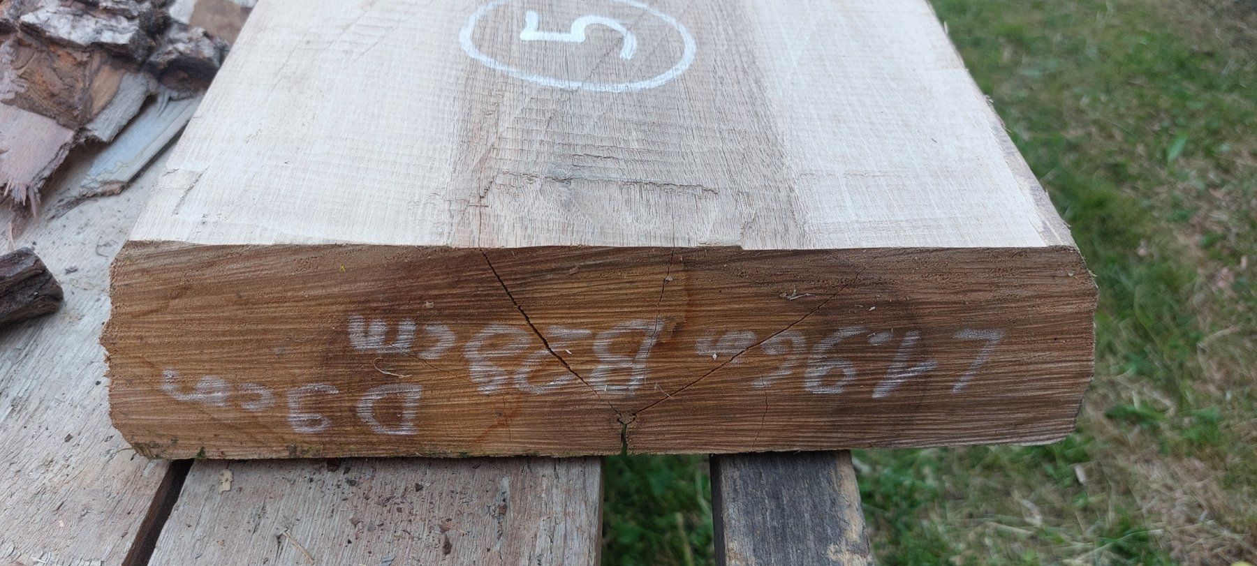 Articoli in legno: Schweizer Nussbaumholz – Difettoso da Giswil venduto da Stocki02 3