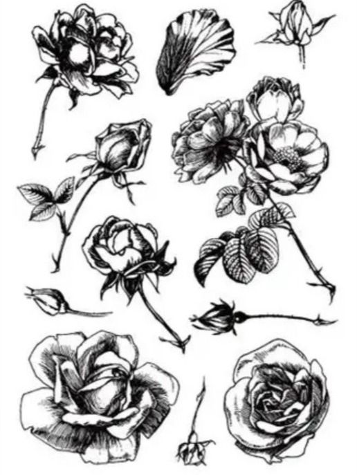 Timbri: Silikonstempel Nr.642, Blumen, Rosen – Nuovo e nell'imballaggio originale da Gretzenbach venduto da Fliegepilz56