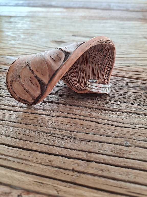 Ringe: Thomas Sabo Ring, Grösse 50 – Gebraucht aus Kriens von Rina456