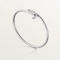 Cartier Juste un Clou Armreif
