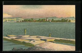 Litho Ufenau, Blick auf die Insel im Z