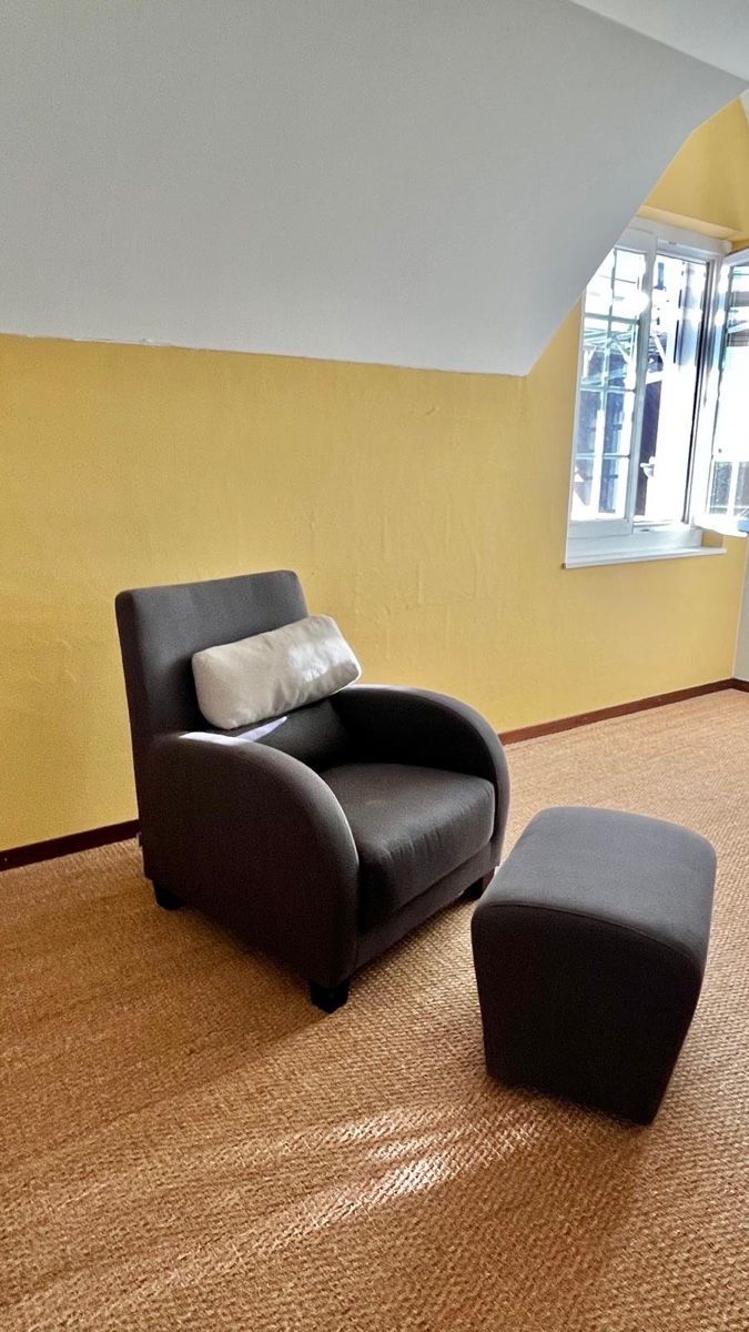 Ligne Roset Poltrone: Sessel – Usato da St.Gallen venduto da inula2 3