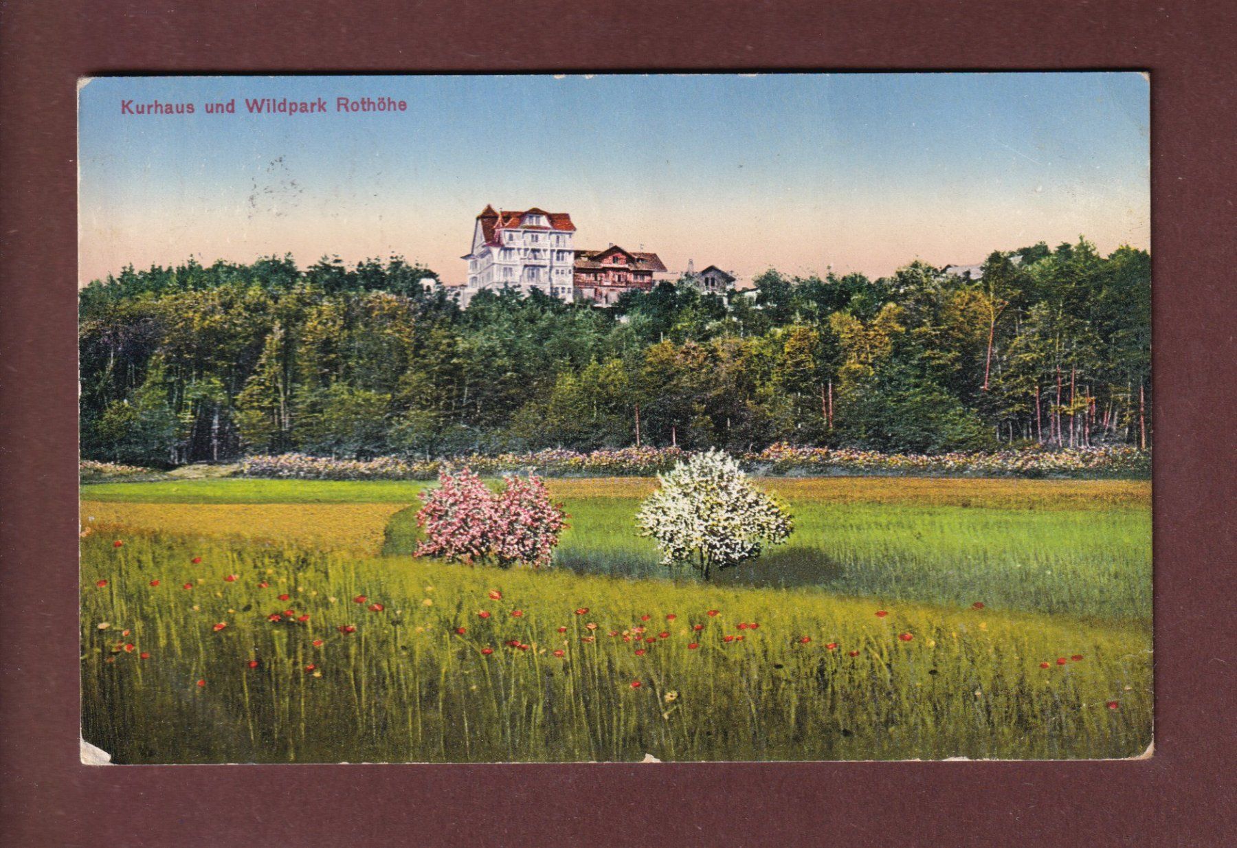 Ansichtskarten: Kurhaus und Wildpark ROTHÖHE - 1929 // Eckbug // – Gebraucht aus Pully von nicecards-shop