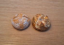 Puppenhaus Holzofen Brote