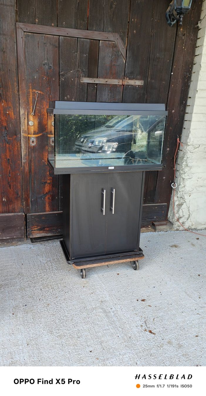 Acquari: Aquarium Juwel 110L – Usato da Triengen venduto da KittyKat6