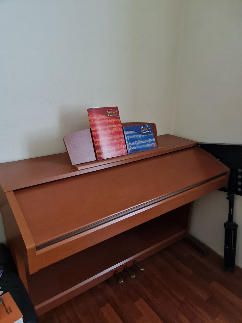 Yamaha Musikinstrumente: Yamaha Clavinova CVP-301 Digitalpiano. – Gebraucht aus Campocologno von Arte2108 6