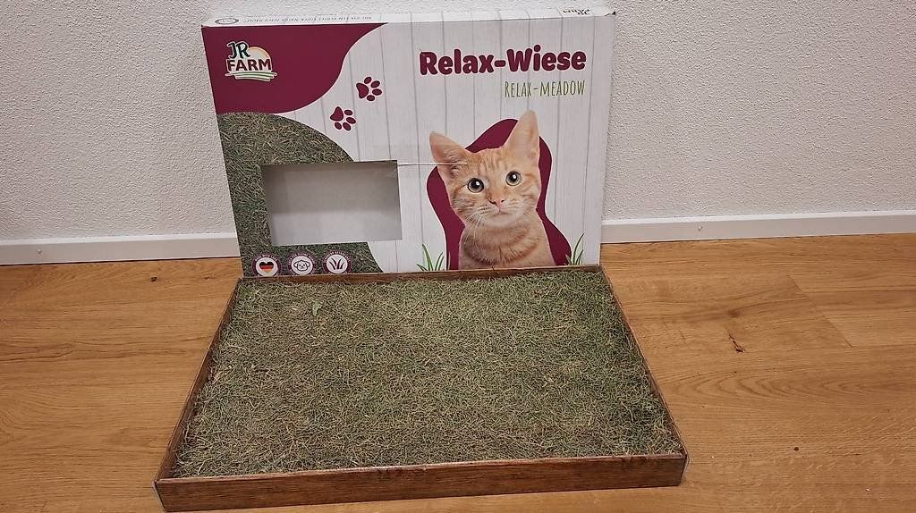 Giocattoli: Relaxwiese für Katzen – Nuovo (secondo la descrizione) da Schenkon venduto da Glenmora