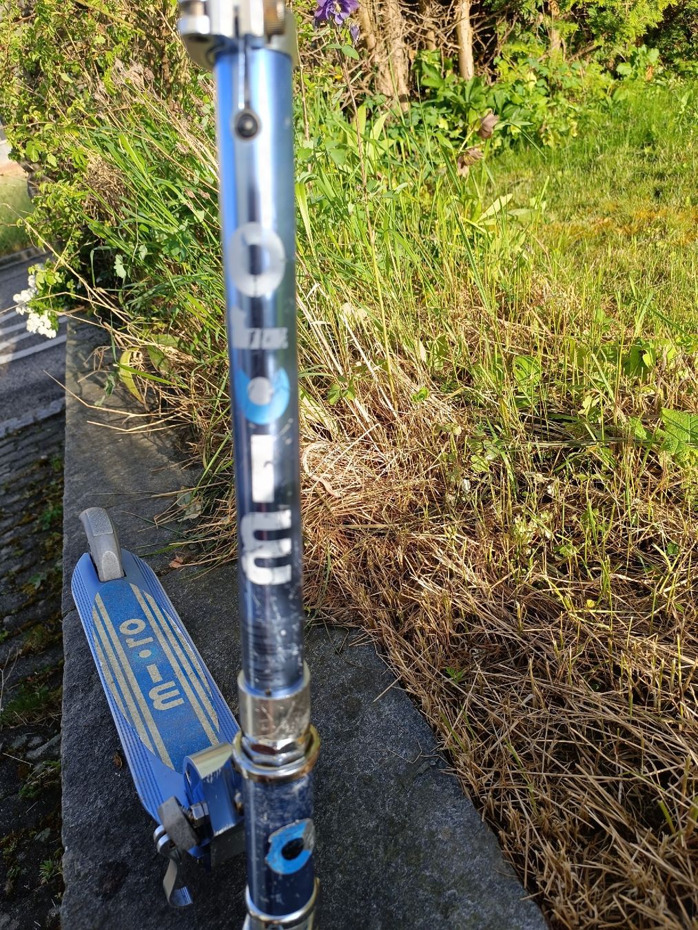 Micro Kickboard: Micro Scooter – Usato da Arbon venduto da shantiii 2