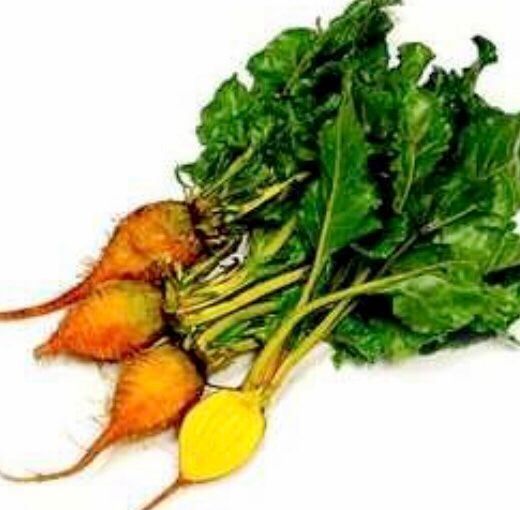 Ab 1.- fr 5 SAMEN SELTENE GELBE RÜBEN &amp;quot;GOLDEN EYE&amp;quot; (Neu und ...