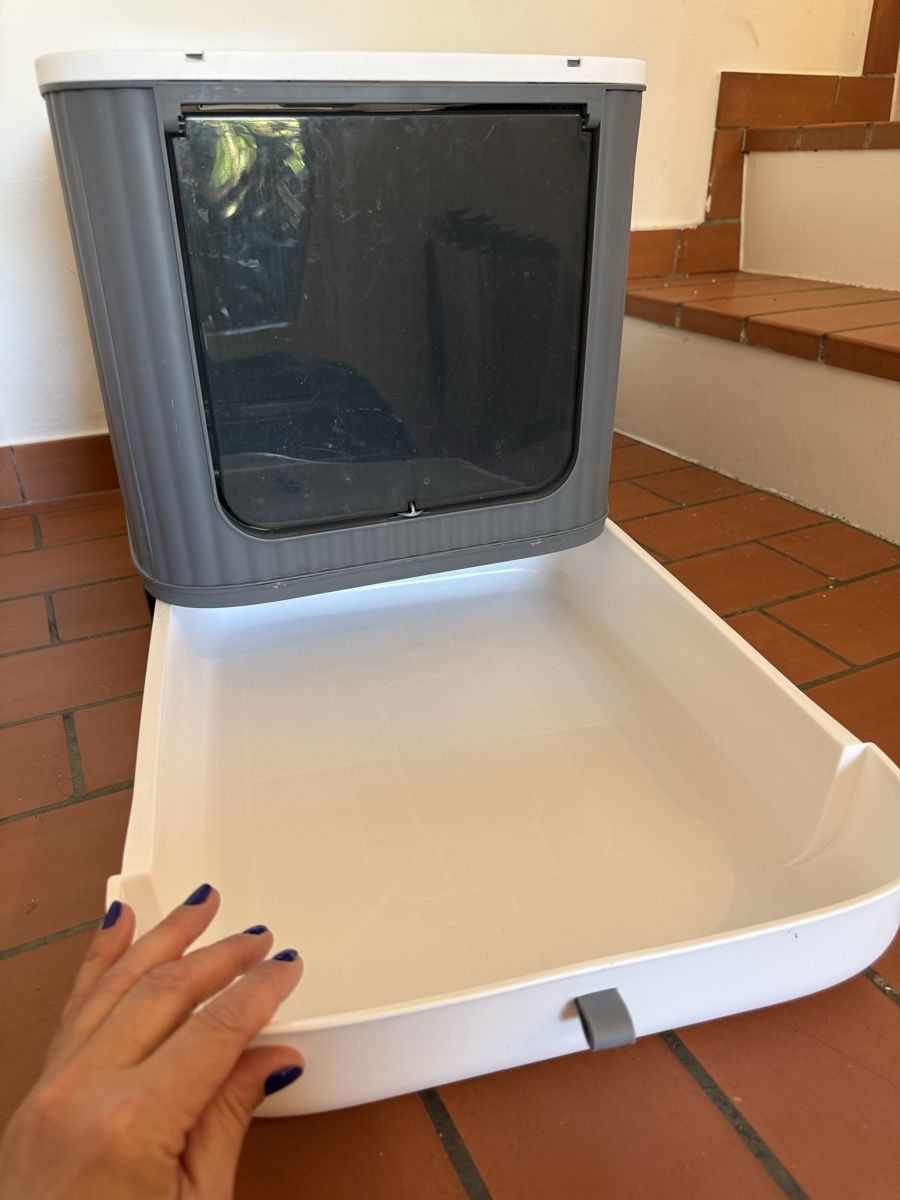 WC: Katzentoilette – Usato da Pfaffhausen venduto da flaviajunqueira 3